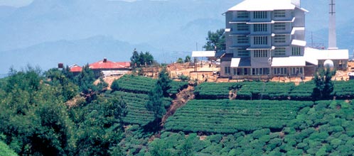 Tea Factory Hotel, Sri Lanka