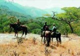 Horse Riding in America