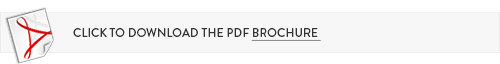 PDF icon