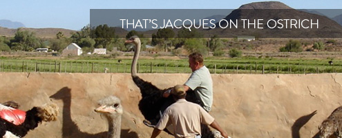 Jacques Gous atop an Ostrich