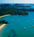 New-Zealand