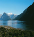 New-Zealand