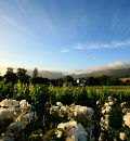 Winelands 