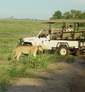 Botswana 