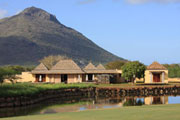 Lions relaxing in South Africa