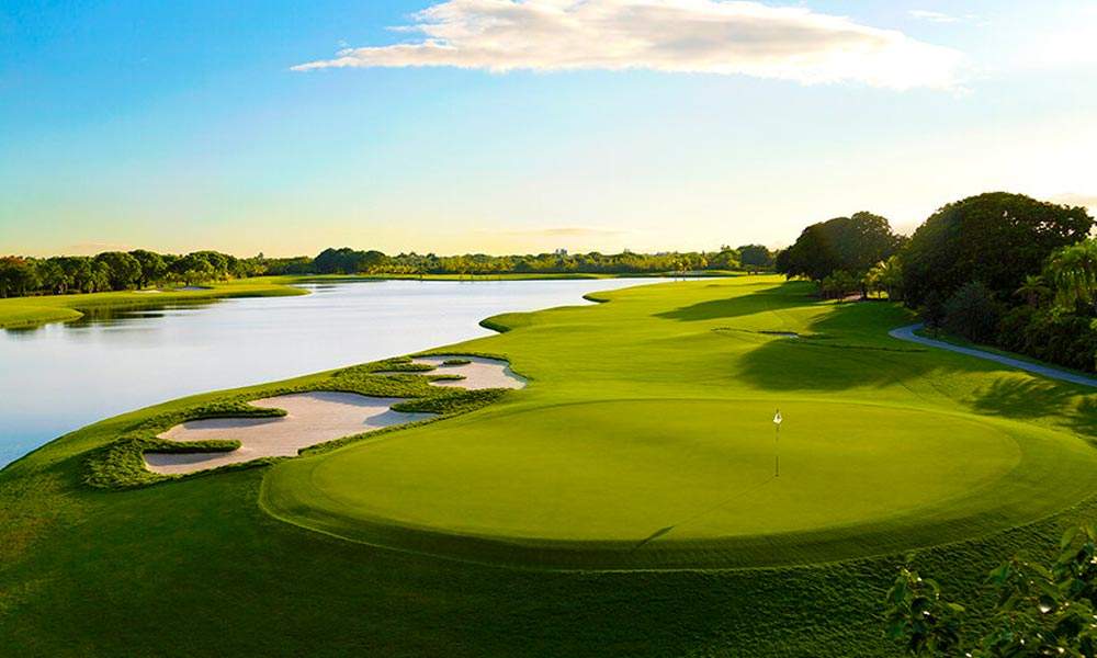 Golden Palm At Trump National Doral Florida